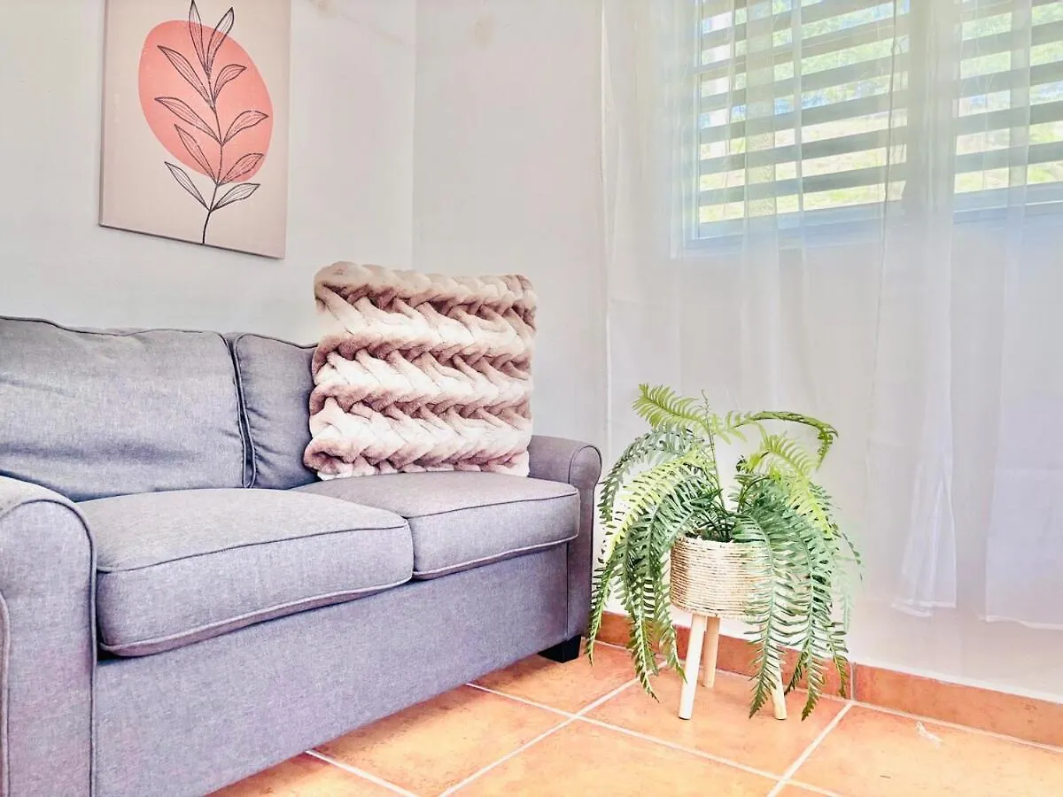 Close To Luquillo Beach, El Yunque And Main Tourist Attractions